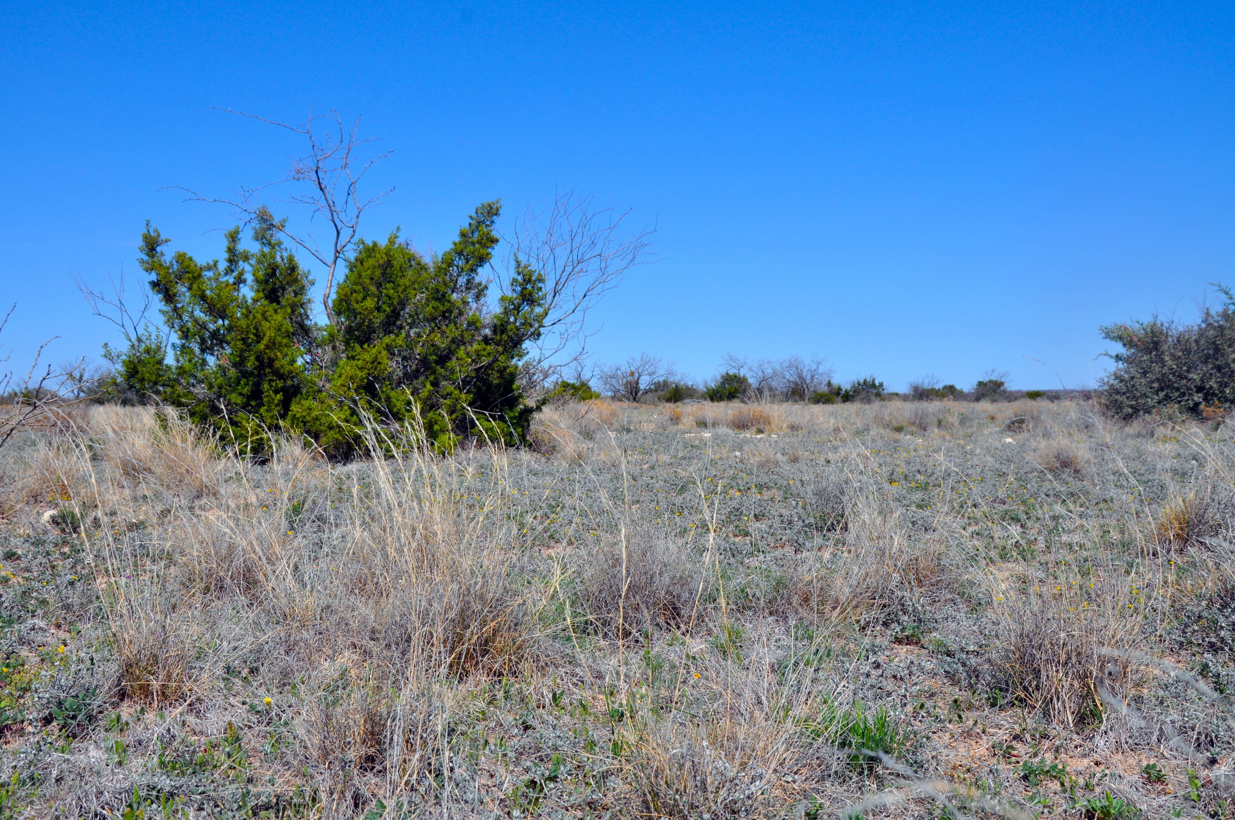 Wall Ranch Photo