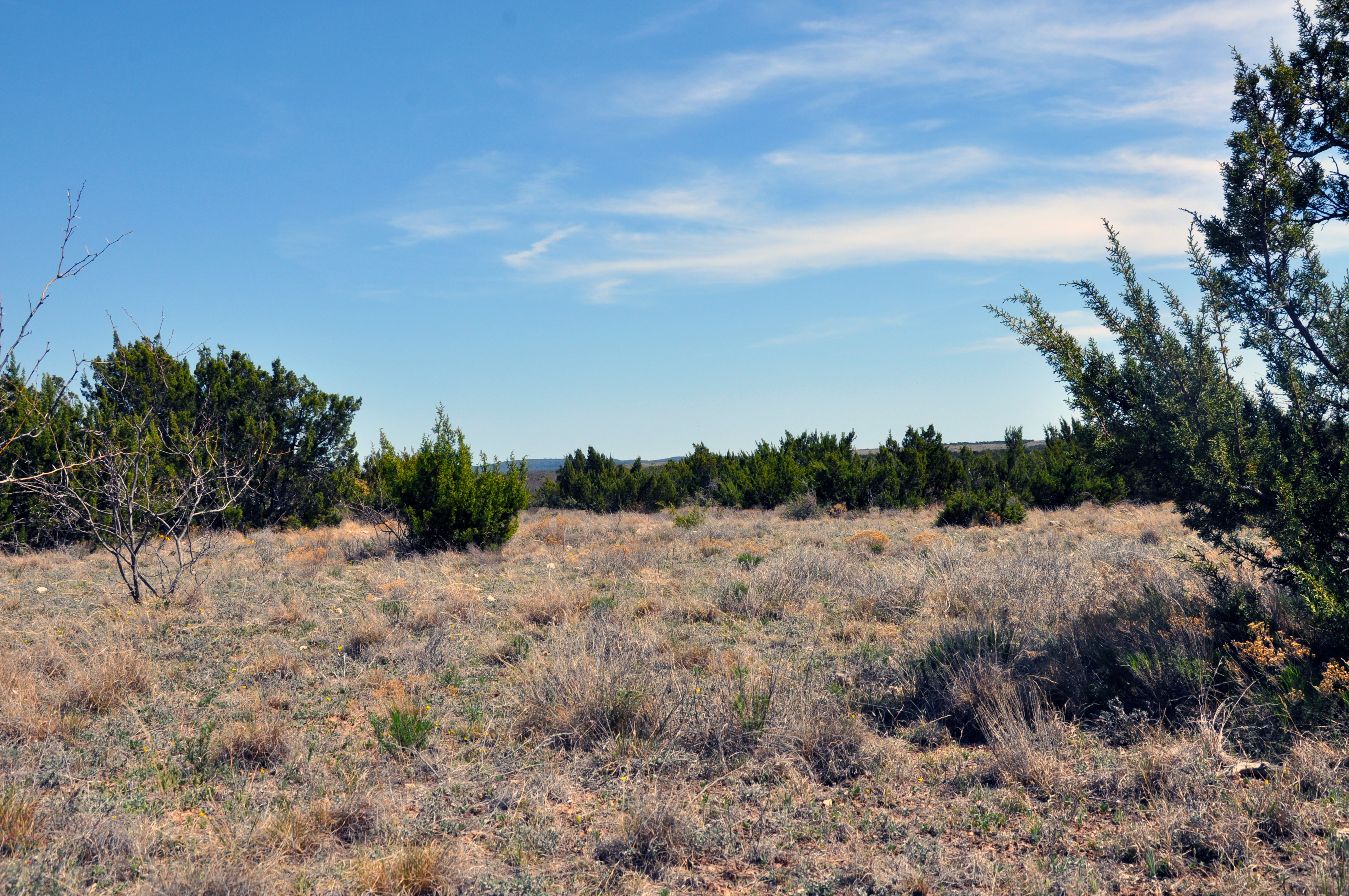 Wall Ranch Photo