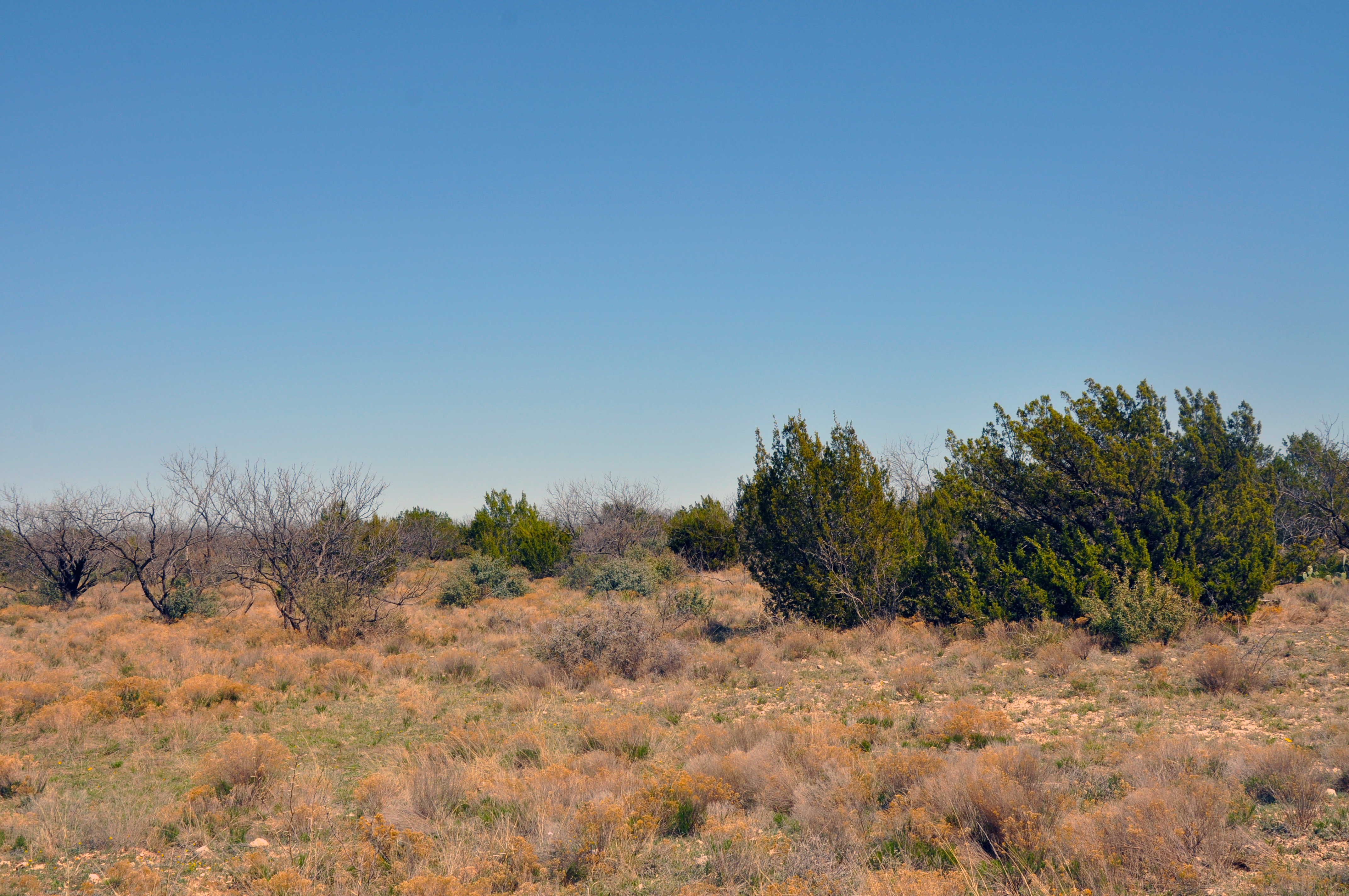 Wall Ranch Photo
