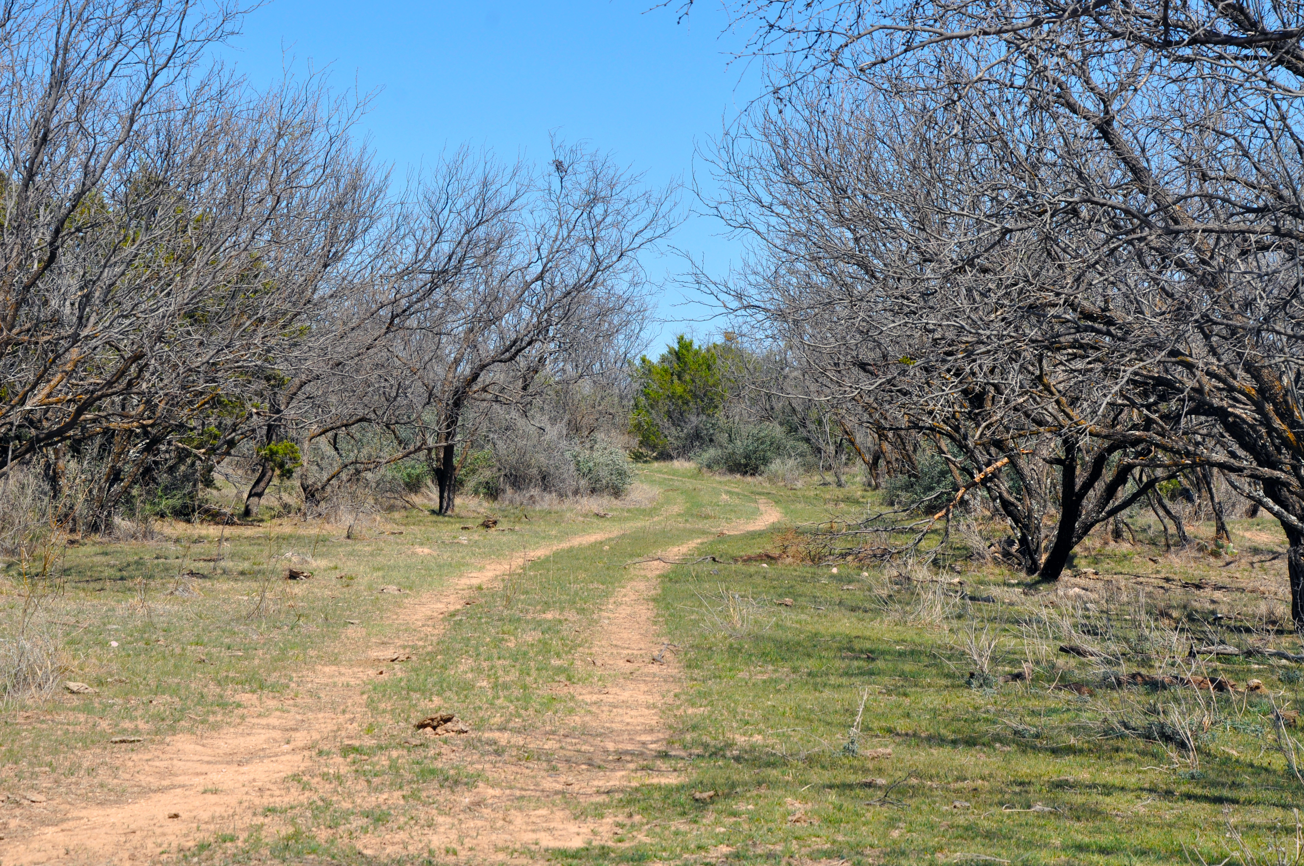 Wall Ranch Photo
