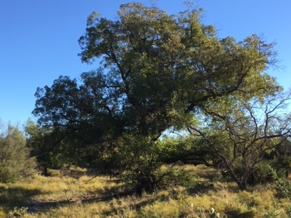 Welker Ranch Photo