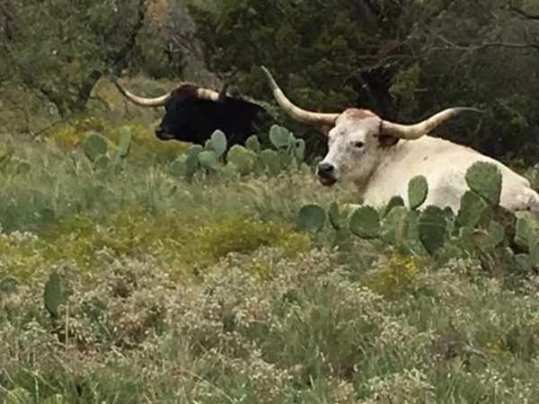 Welker Ranch Photo