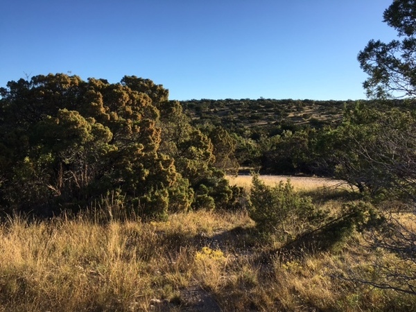 Welker Ranch Photo