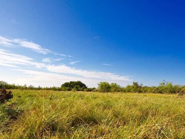 West Concho Ranch Photo