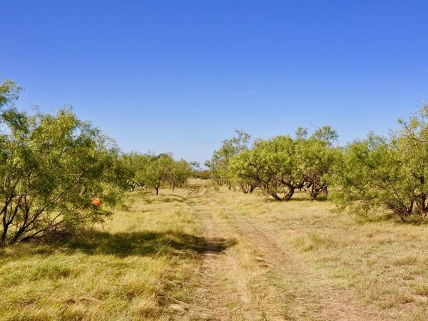 West Concho Ranch Photo