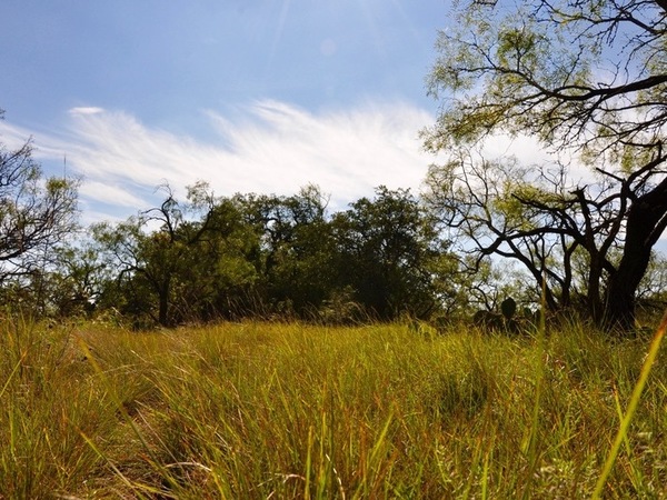 West Concho Ranch Photo