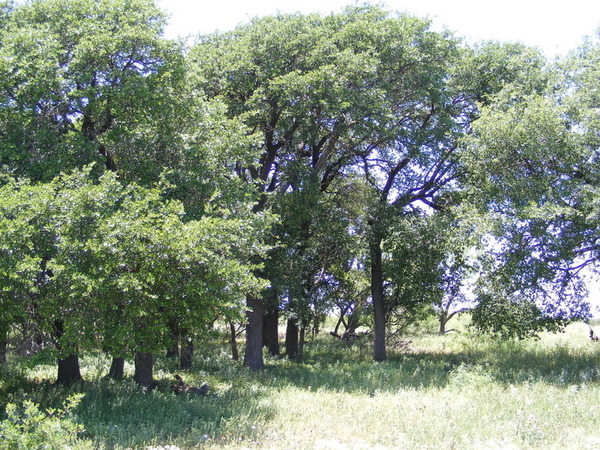 White Point Ranch Photo