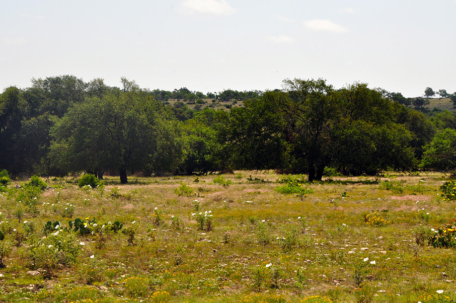 Sutton | Edwards County Ranch Photo