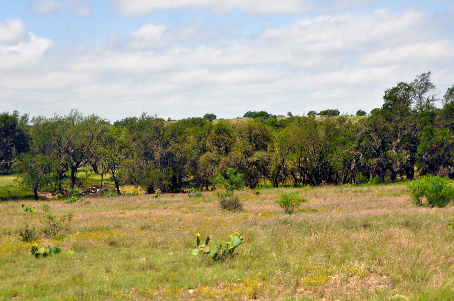 Sutton | Edwards County Ranch Photo