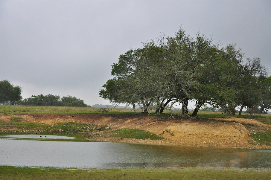 Sutton | Edwards County Ranch Photo