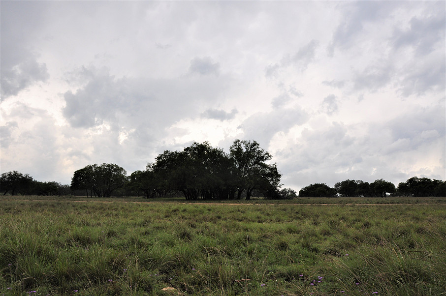 Sutton | Edwards County Ranch Photo