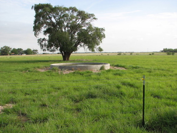 Wingate Stock Farm Photo