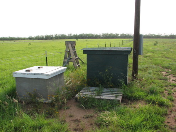 Wingate Stock Farm Photo