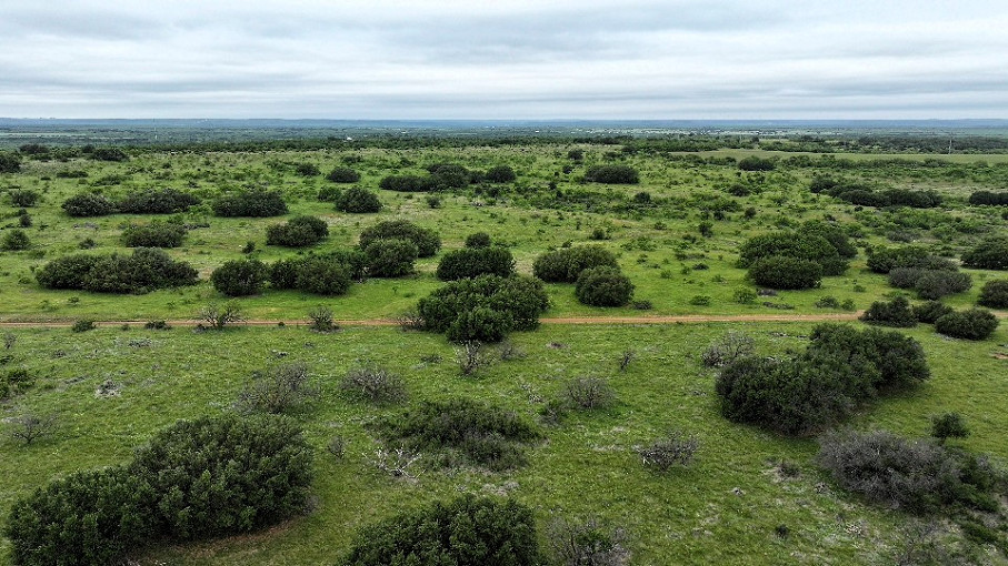 WK Ranch Photo