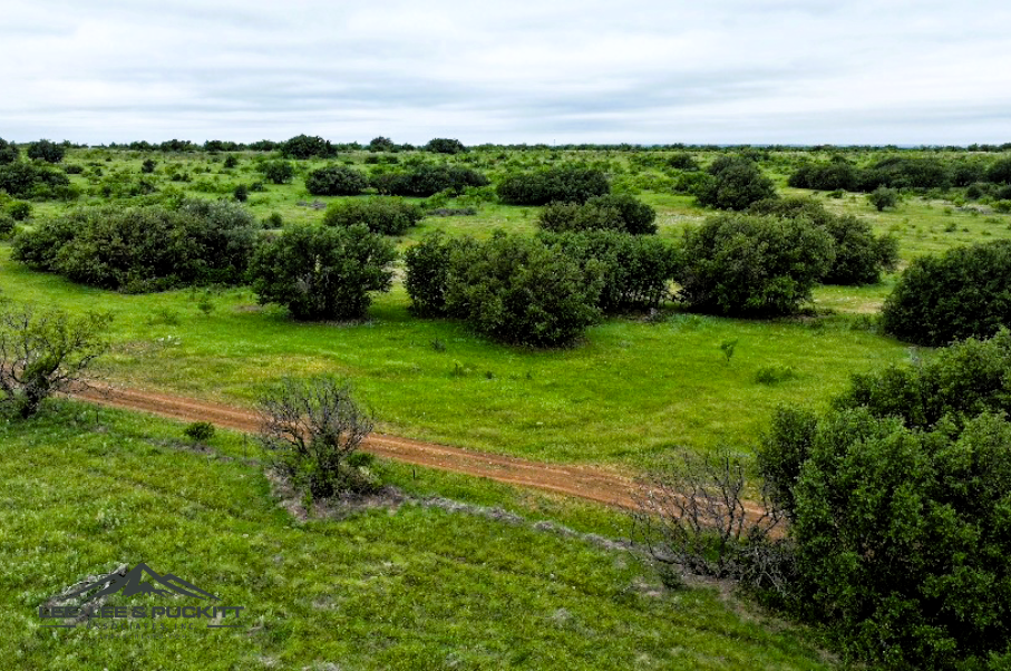 WK Ranch Photo