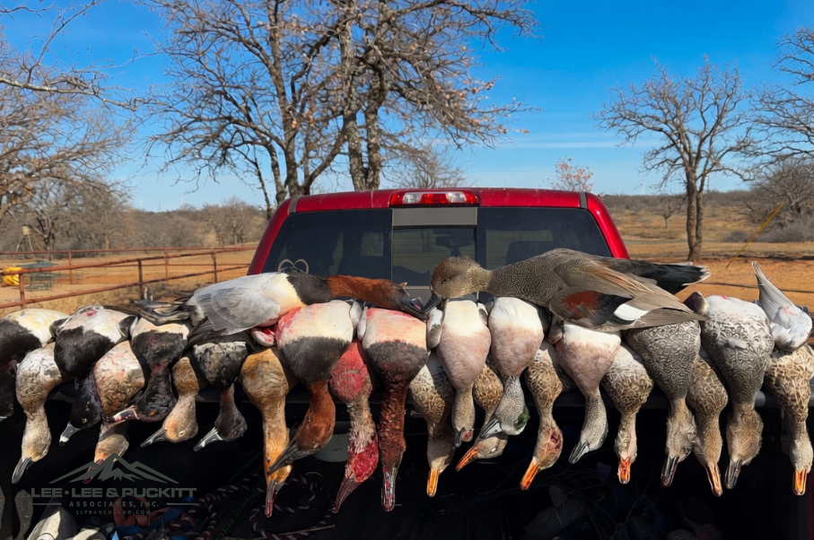 WK Ranch Photo