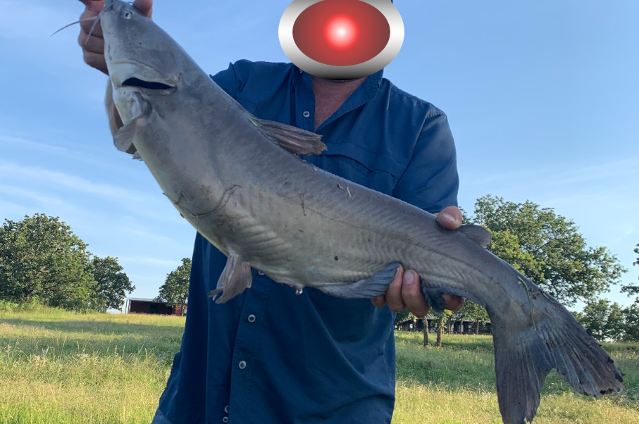 WK Ranch Photo