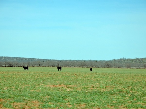 XRY Ranch Photo