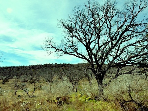 XRY Ranch Photo