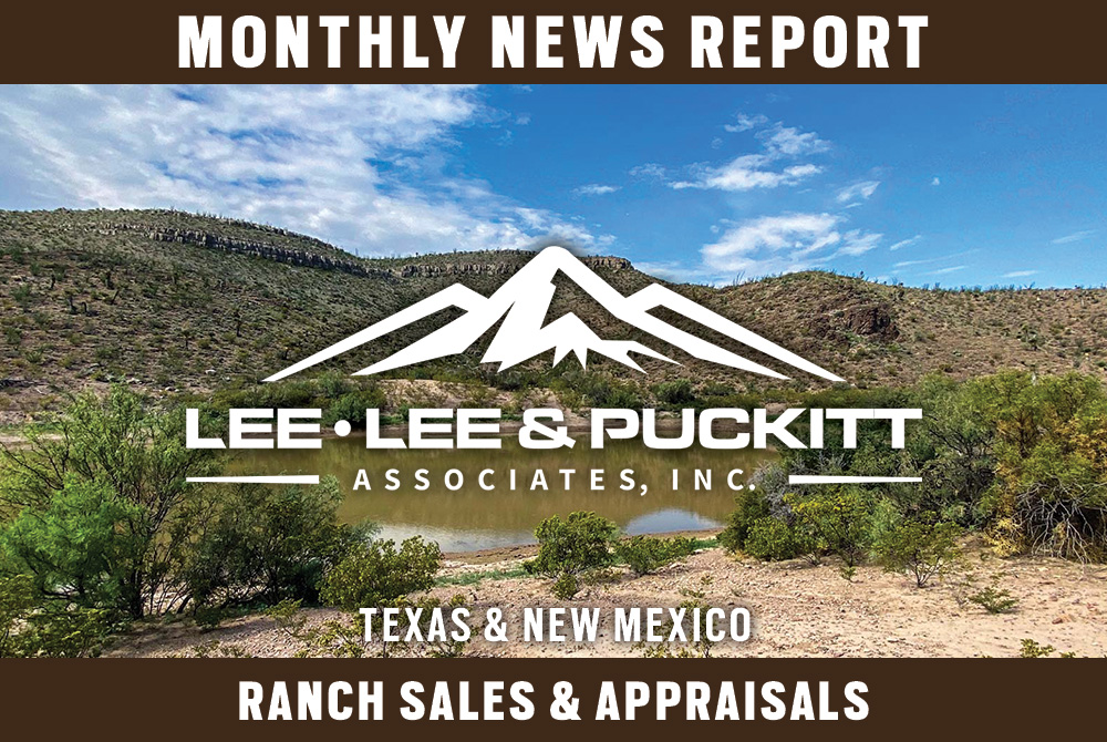 Lee, Lee & Puckitt Associates, Inc. Monthly Newsletter
